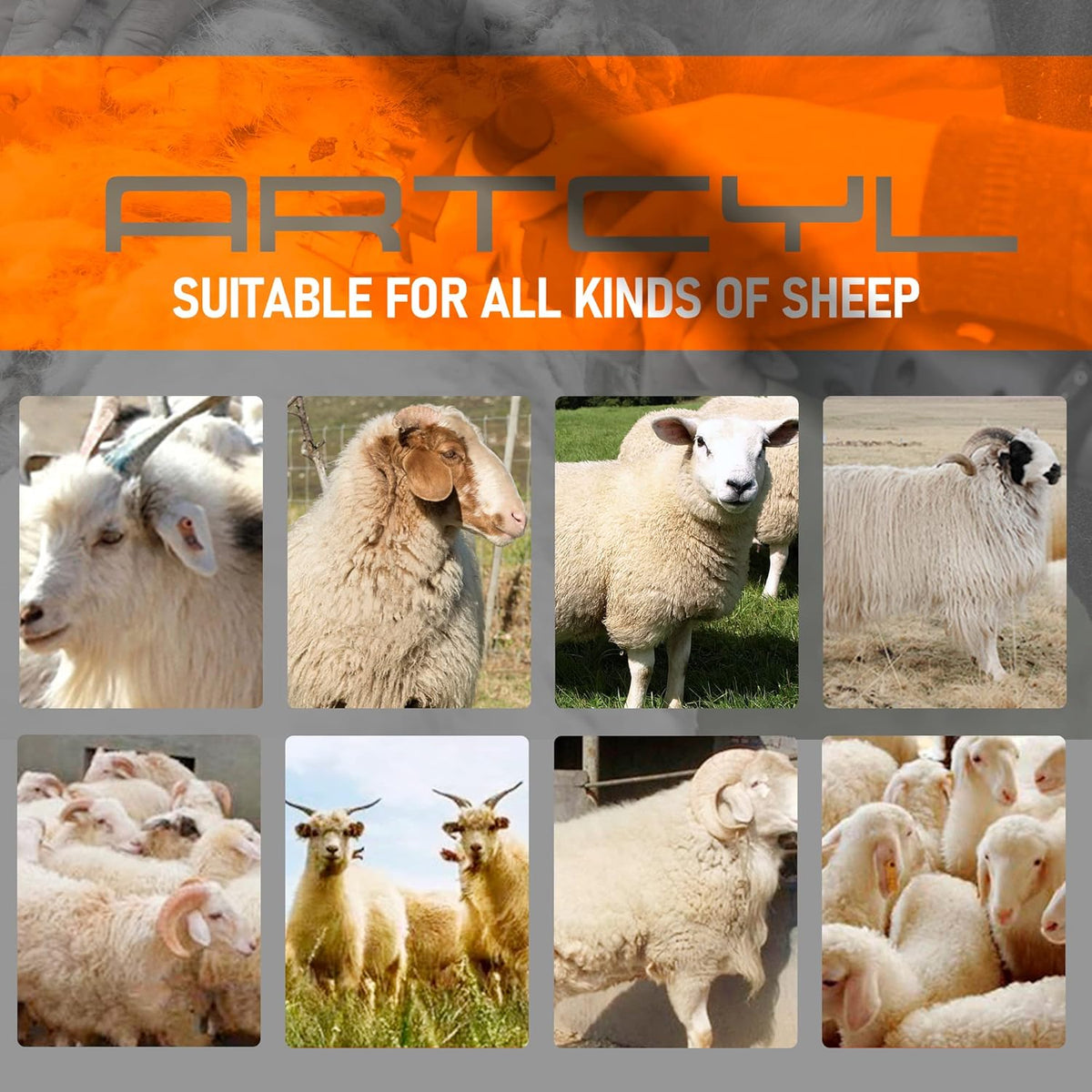 550W Electric Animal Grooming Kit for Sheep Goat Cattle E421