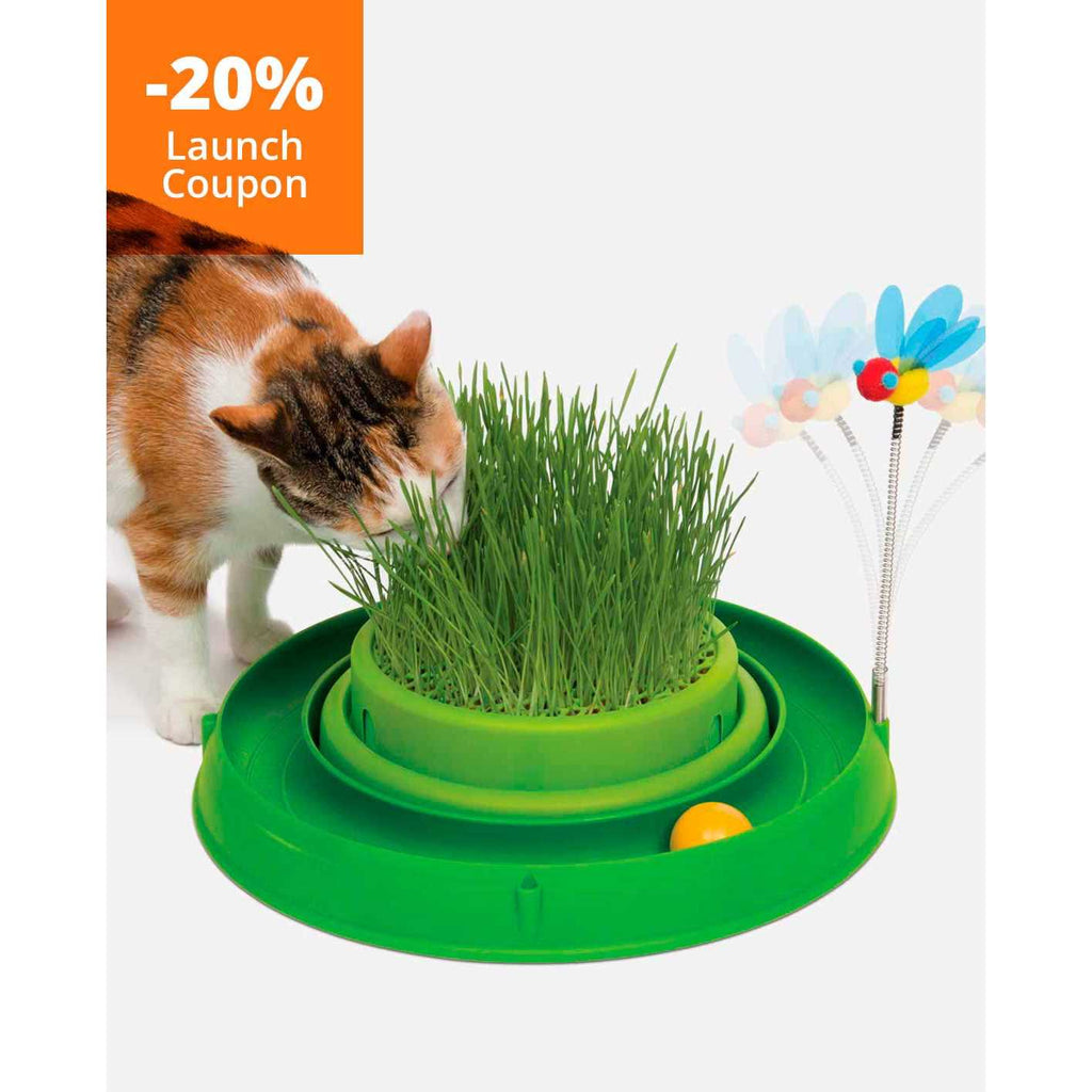 Circuit Ball Cat Toy R48818