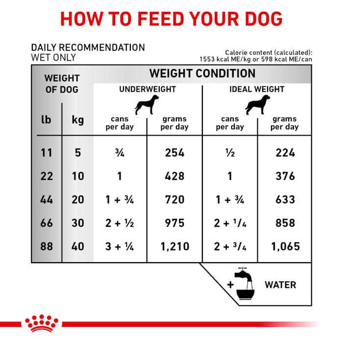 Canine Renal Support Canned Dog Food K952232
