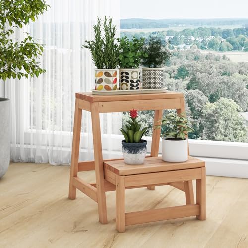 Wooden 2-Step Folding Step Stool Y18707