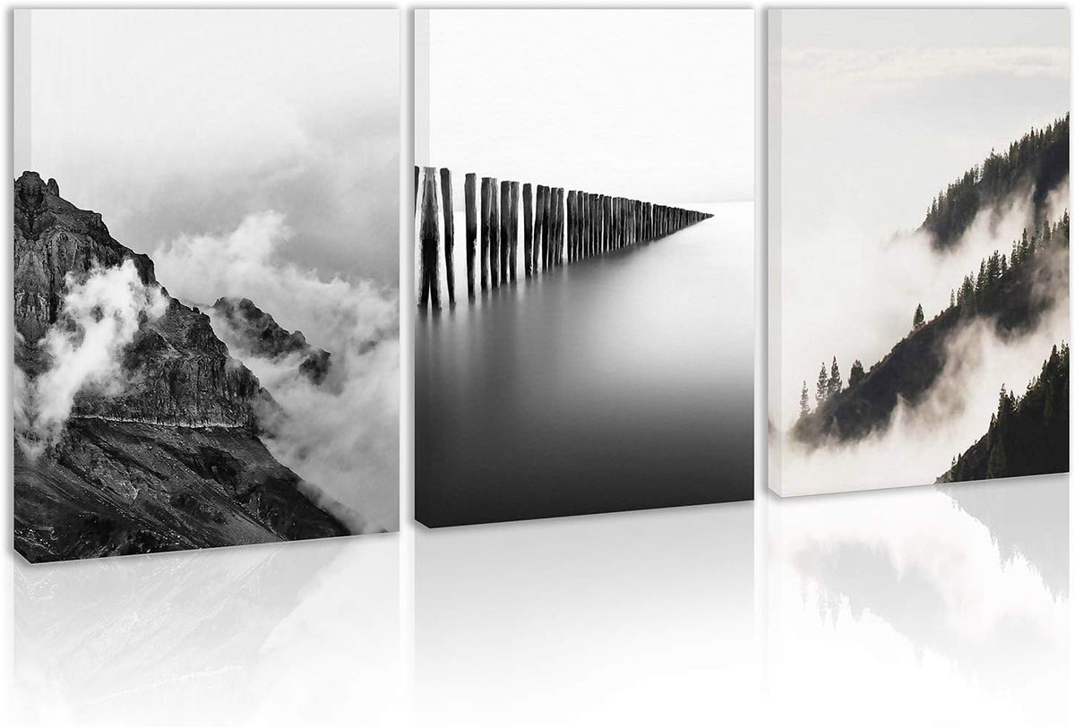 Black and White Canvas Wall Art J87608