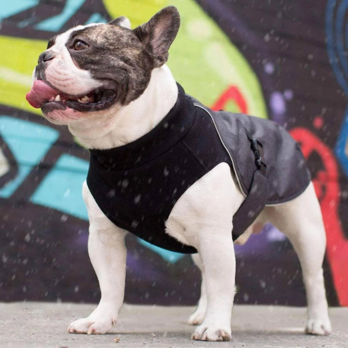 Charcoal Dog Coat A390