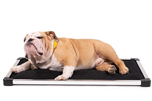 Chew Proof Padded Dog Crate Pad Mat, Small Size, Water Resistant, Sandstone I474