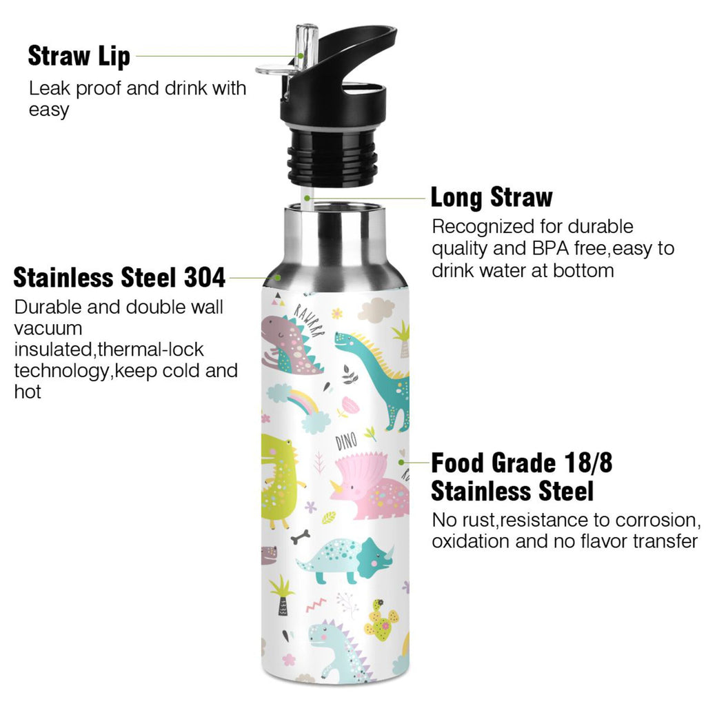 Stainless Steel Insulated Water Bottle with Straw Lid S796774