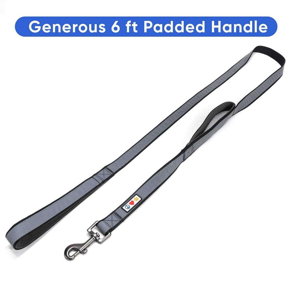 6 ft Solid Dog Leash N650