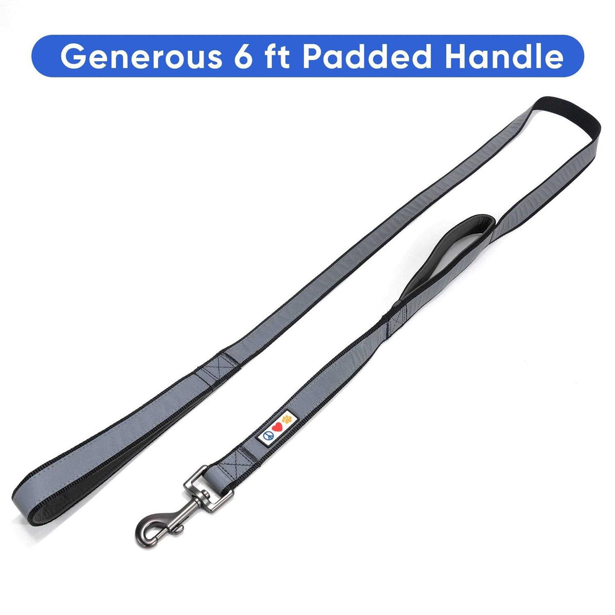 6 ft Solid Dog Leash N650