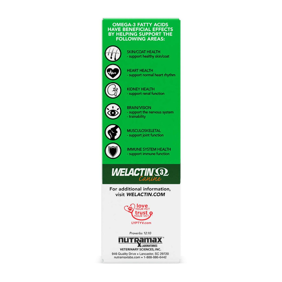 Omega-3 Liquid Skin Coat Supplement for Dogs X4701