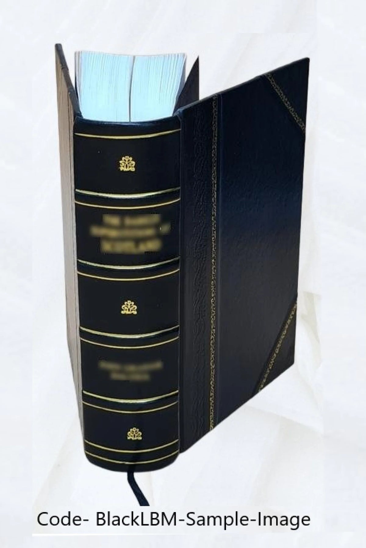 Leather Bound Bible E14369