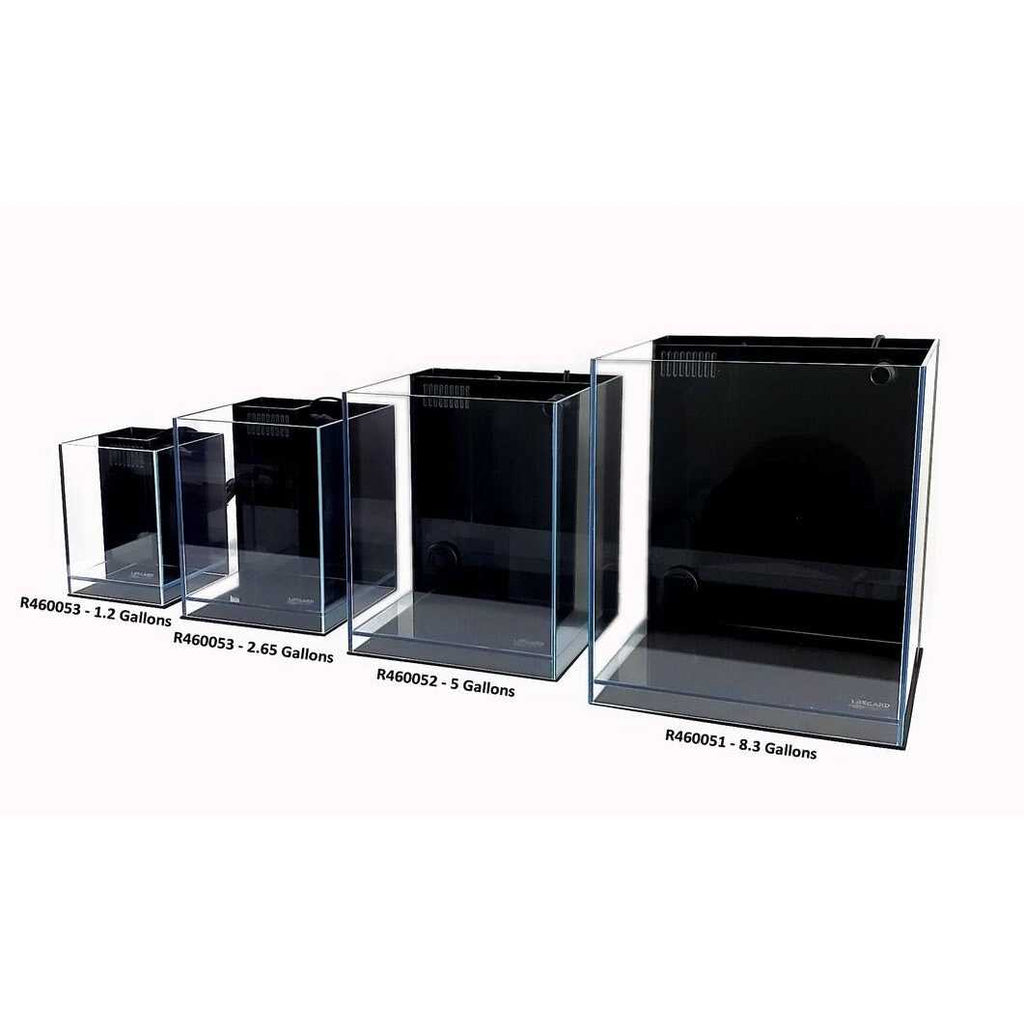Ultra Low Iron Glass Aquarium with Filter U8117