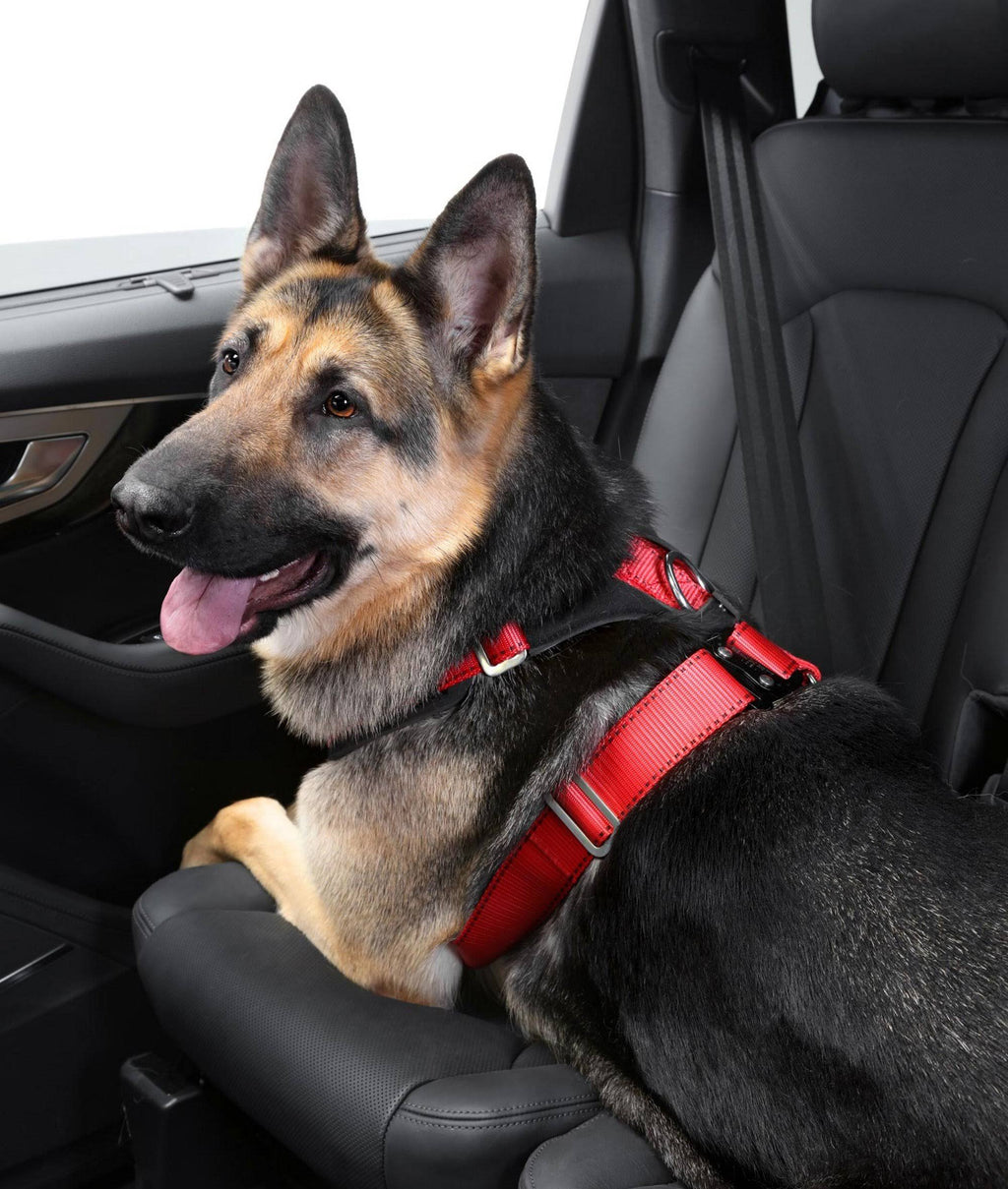 Comfort Safety Dog Harness B5541