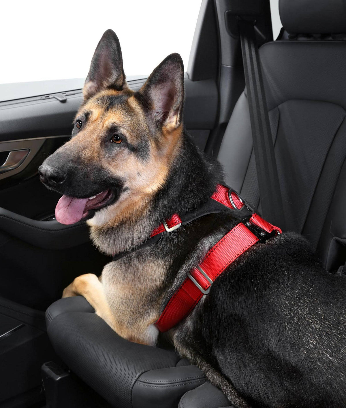 Comfort Safety Dog Harness B5541
