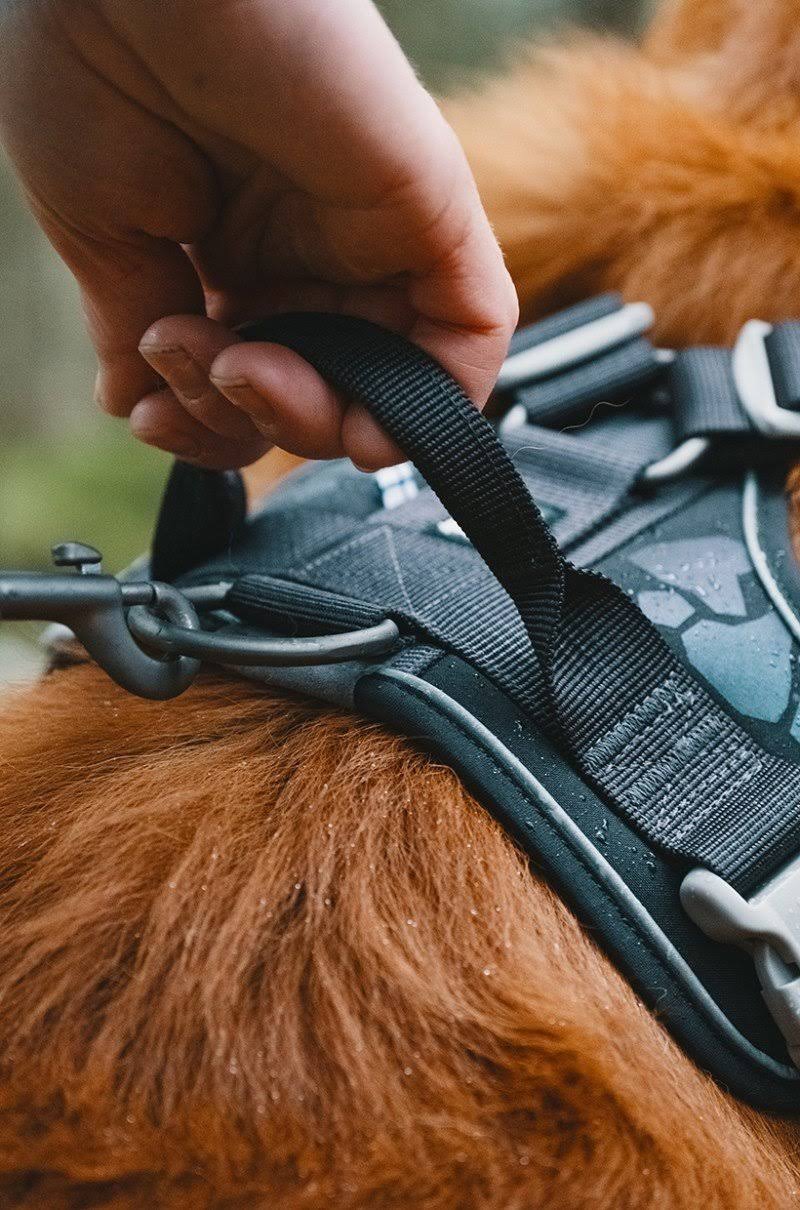 Weekend Warrior Harness Park Camo 32-39in I7078