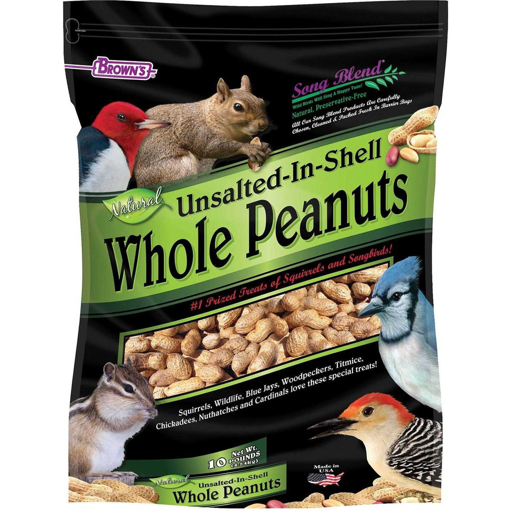 Unsalted In-Shell Whole Peanuts Bird Food F728