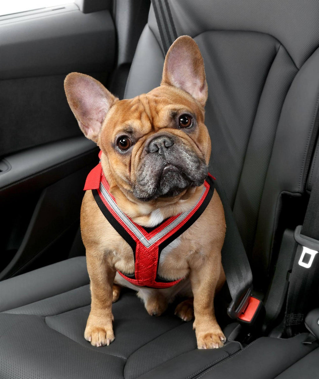 Comfort Safety Dog Harness B5541
