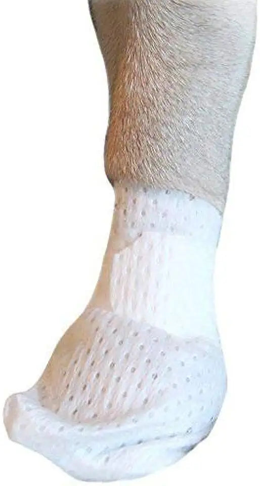 Paw Bandages for Dogs, Cats and Pets, 12 Pack (Large) N735