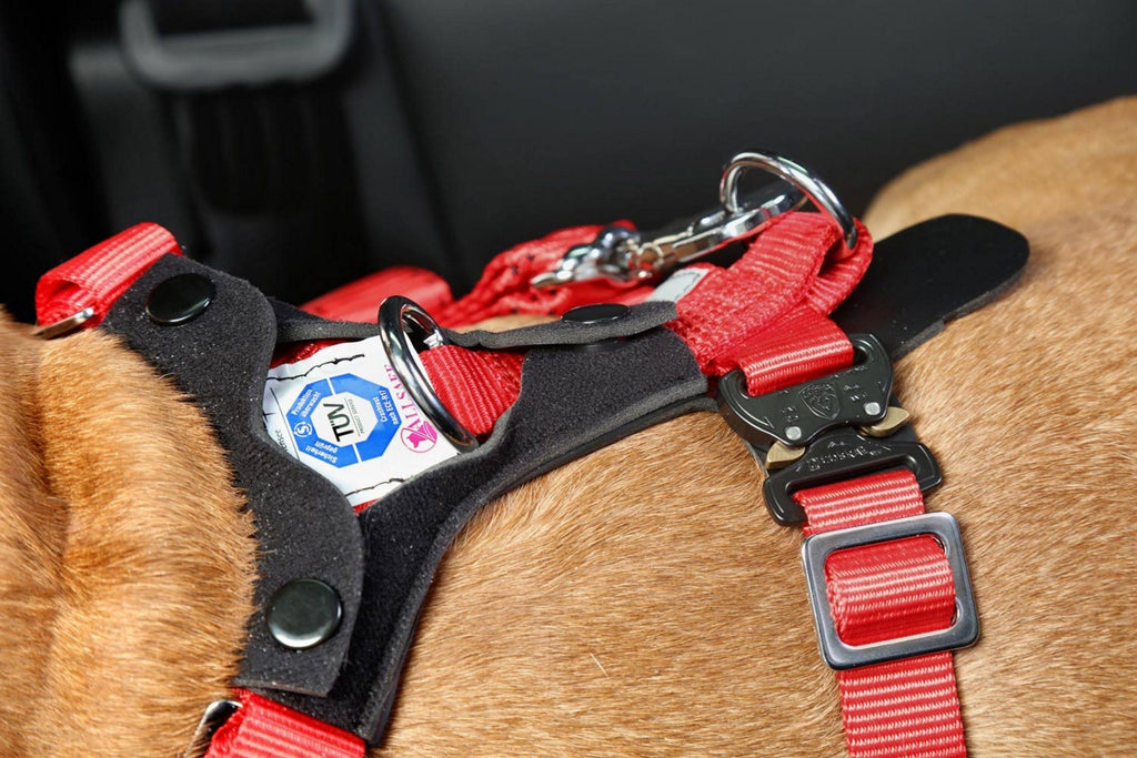 Comfort Safety Dog Harness B5541