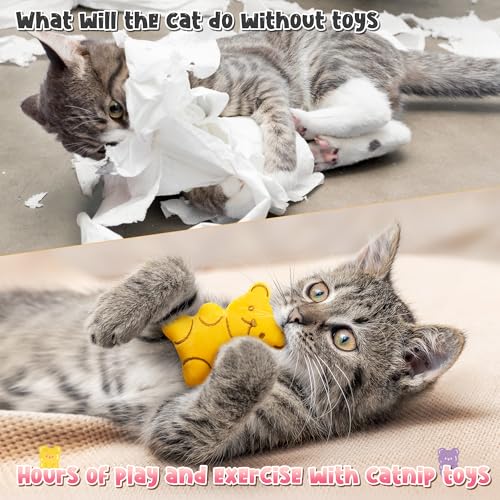 5Pcs Catnip Cat Toys Z409650