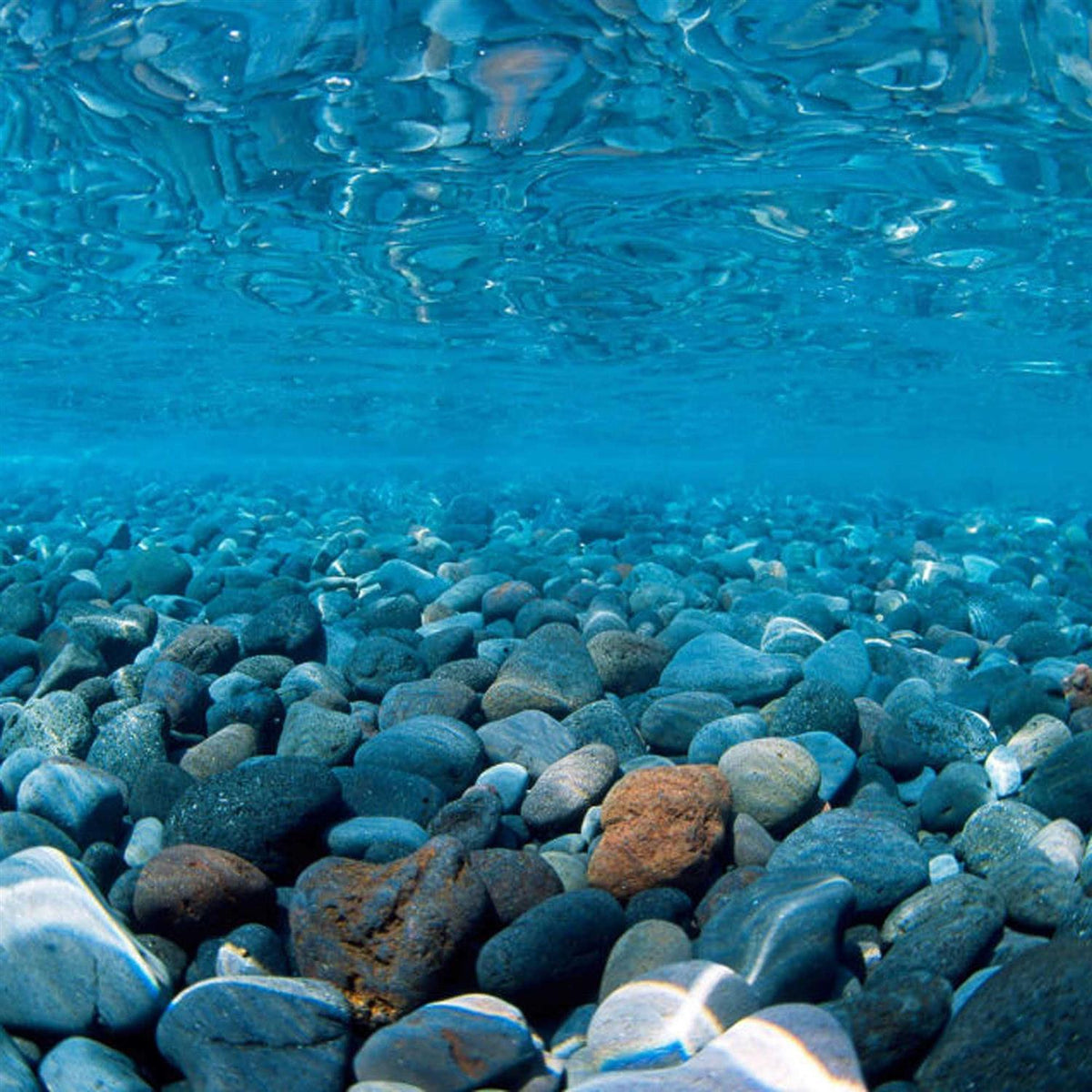 River Rock/Coral Bliss Background T694683