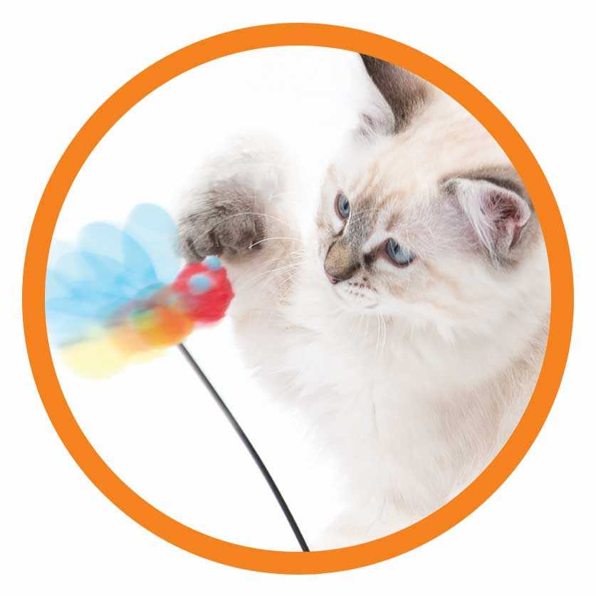 Interactive Cat Toy O623917