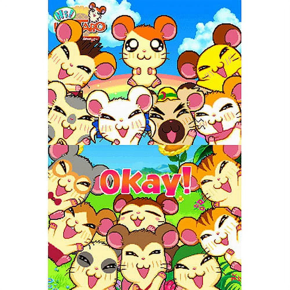Hamtaro Ham Ham Challenge S924945
