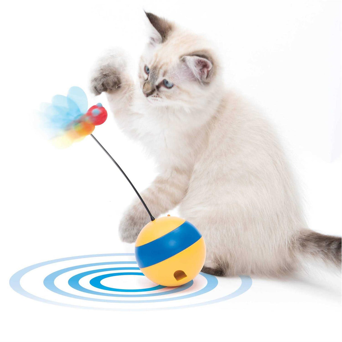 Interactive Cat Toy O623917