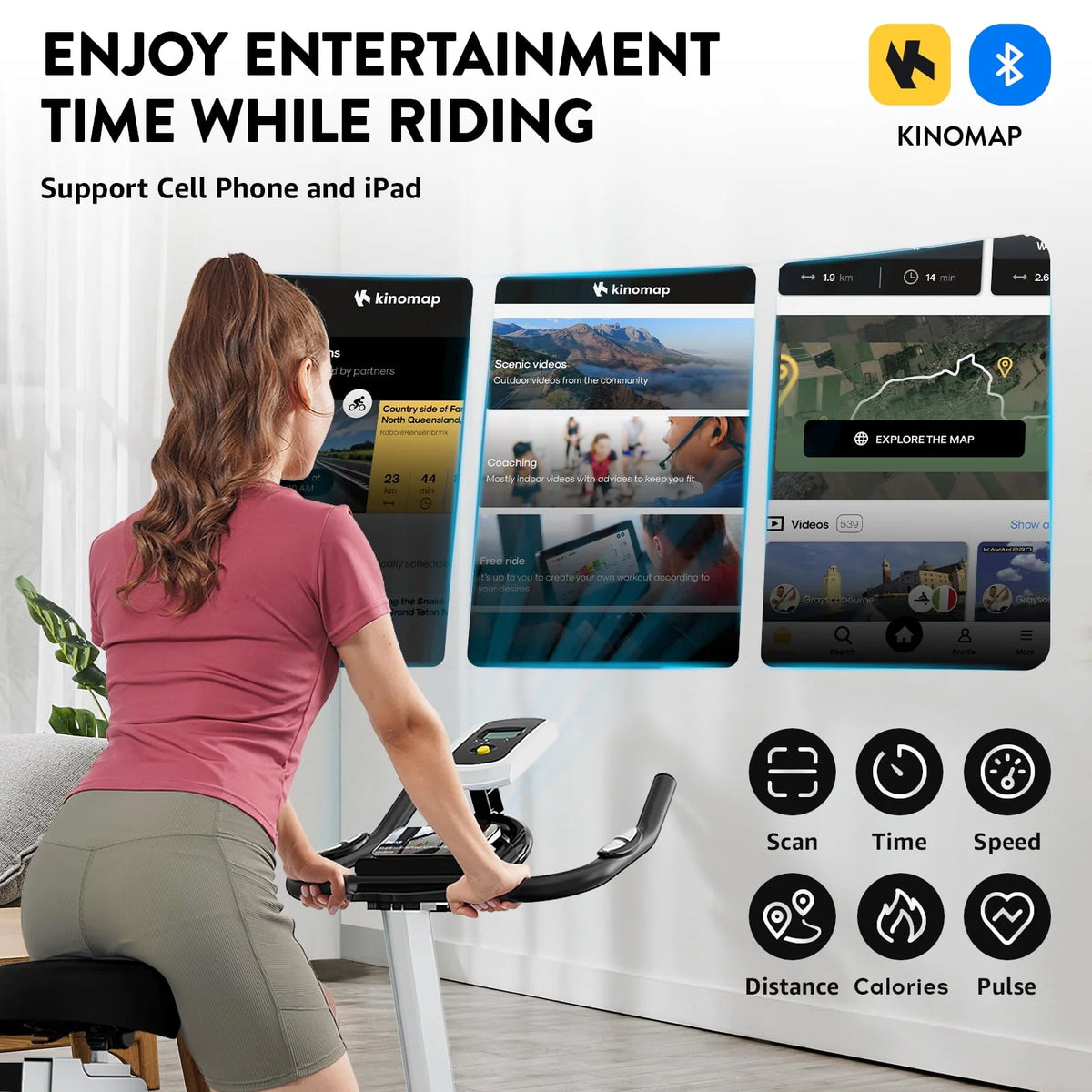 Indoor Cycling Bike Magnetic Stationary Exercise Bike 40lbs Flywheel N777