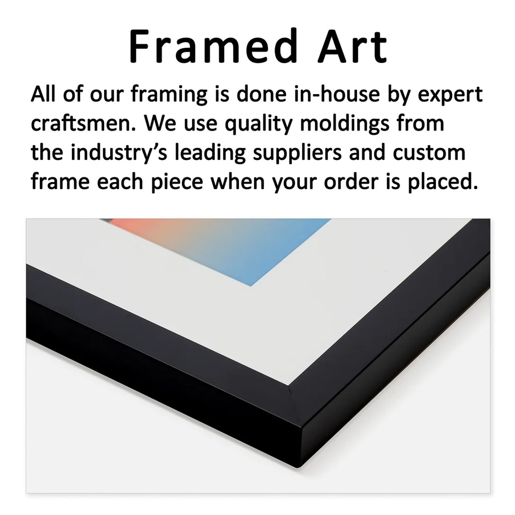 Framed Print N8941