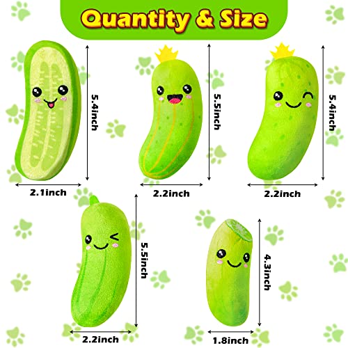 5Pcs Catnip Cat Toys Z409650
