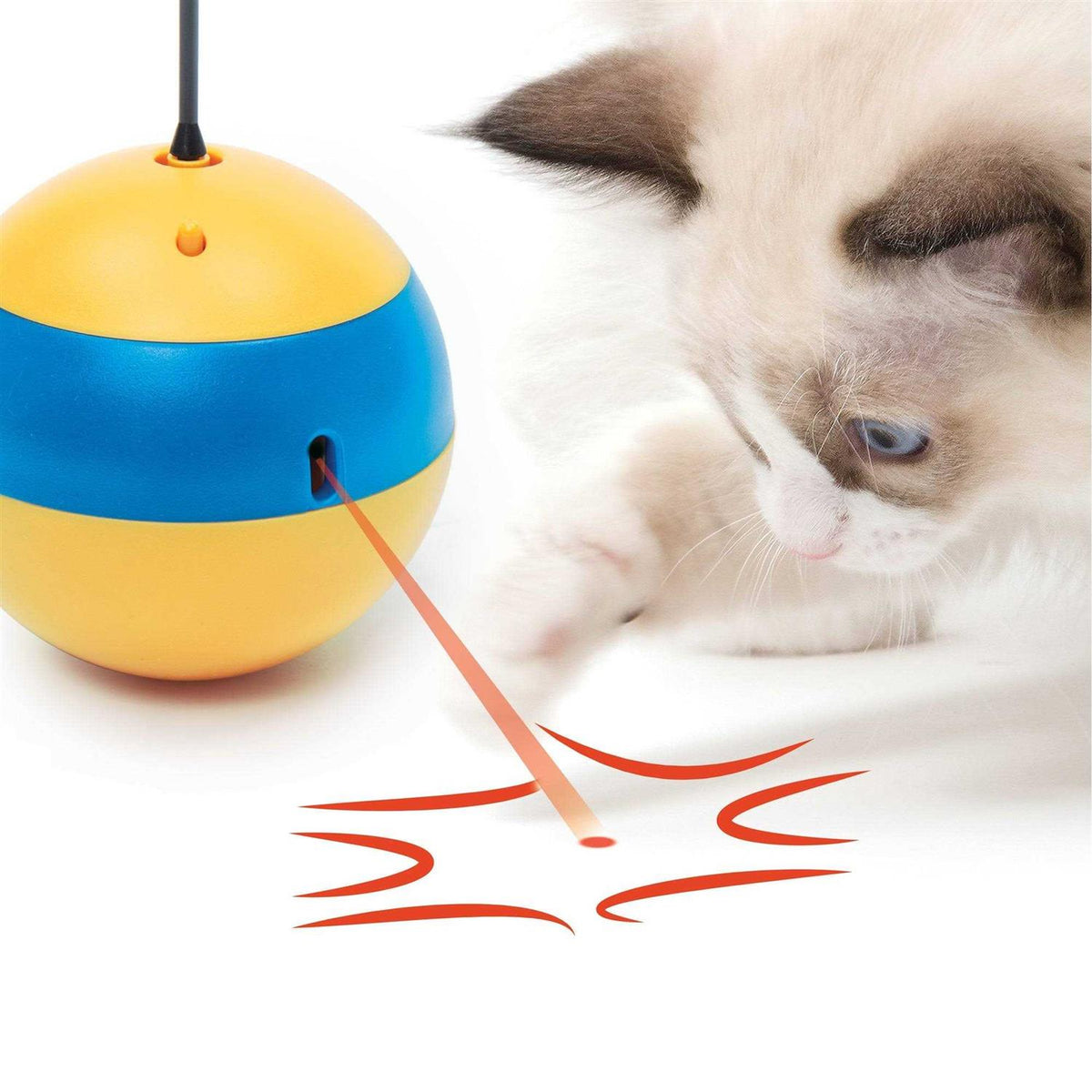 Interactive Cat Toy O623917